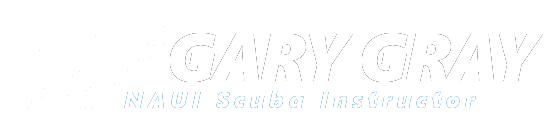 dive-main-logo-white